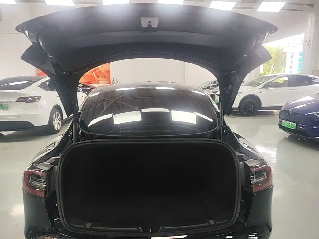 Tesla Model 3 — миниатюра 19