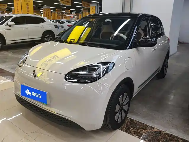 2024 Wuling Motors Binguo