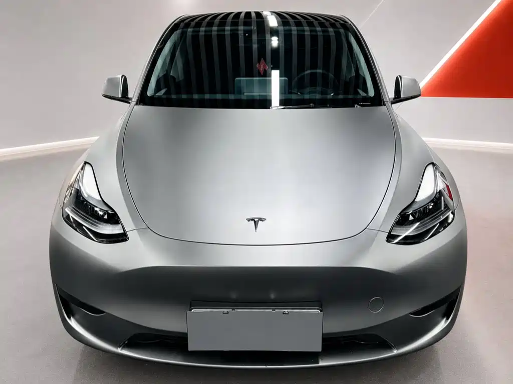 Tesla Model Y — миниатюра 2