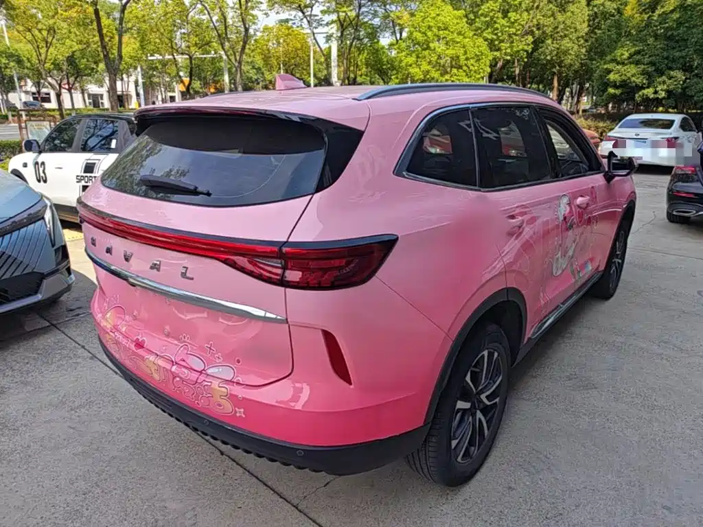 Haval H6 — миниатюра 7