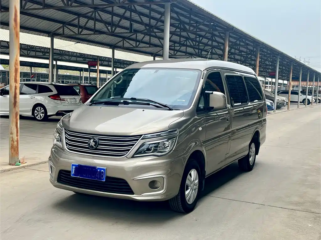 Fengxing Lingzhi 2023