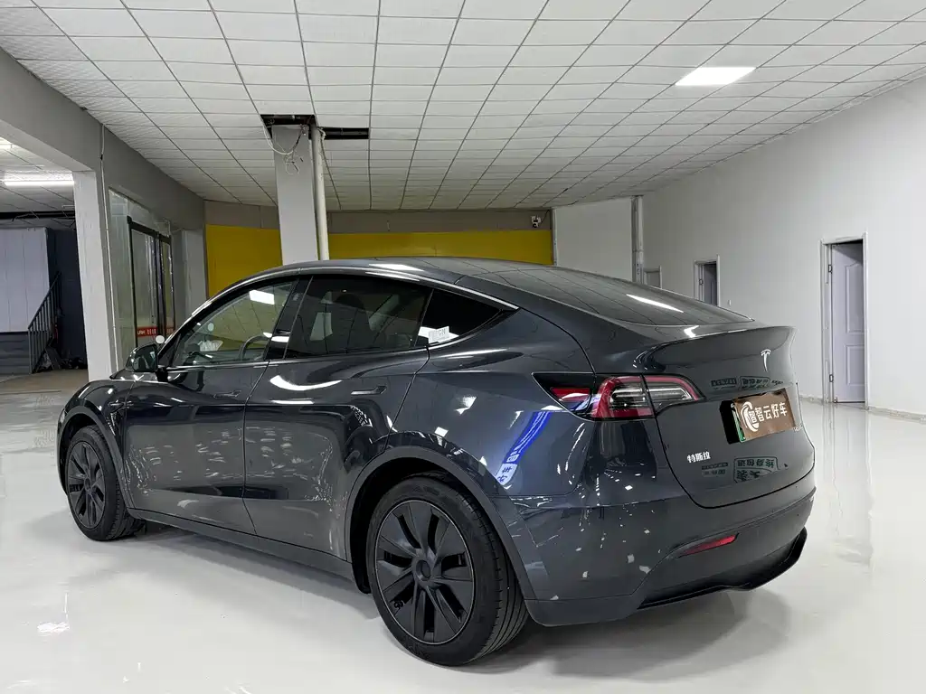 Tesla Model Y — миниатюра 7