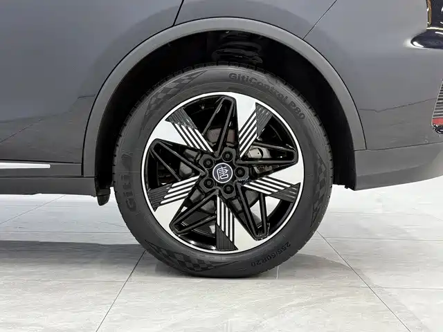 BYD Tang New Energy — миниатюра 12
