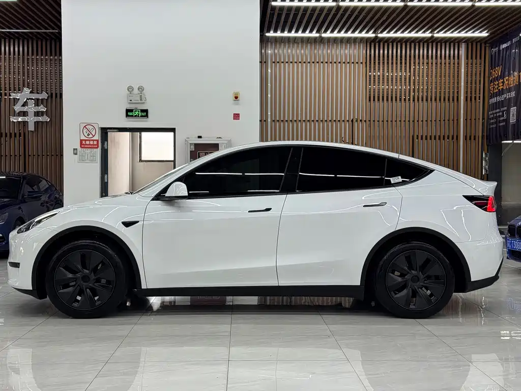 Tesla Model Y — миниатюра 3