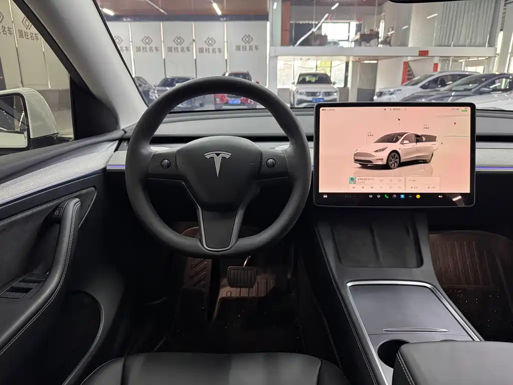 Tesla Model Y — миниатюра 13
