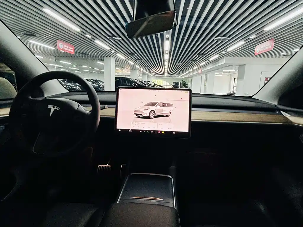 Tesla Model Y — миниатюра 4