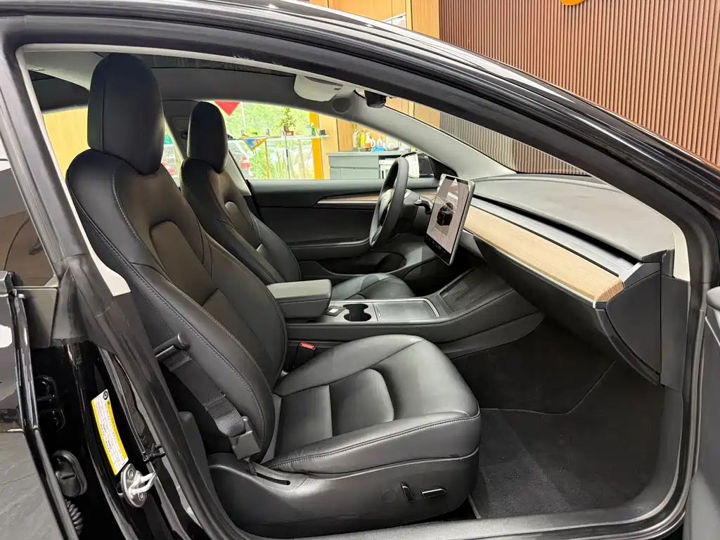 Tesla Model 3 — миниатюра 20