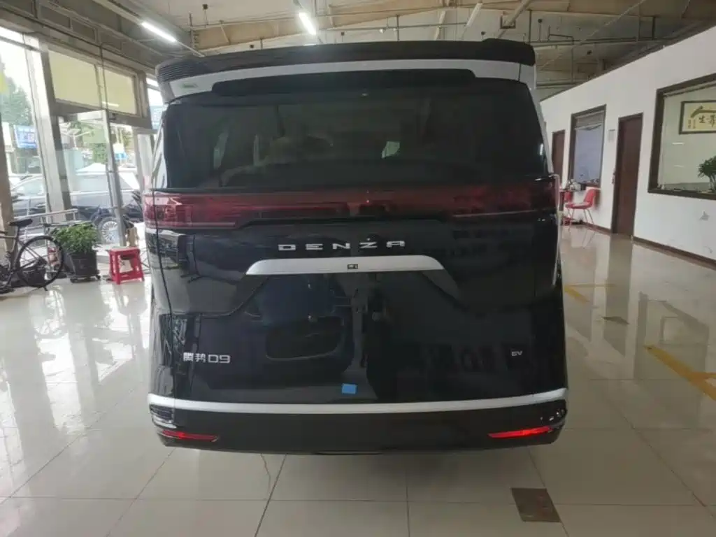 Denza Denza D9 — миниатюра 6