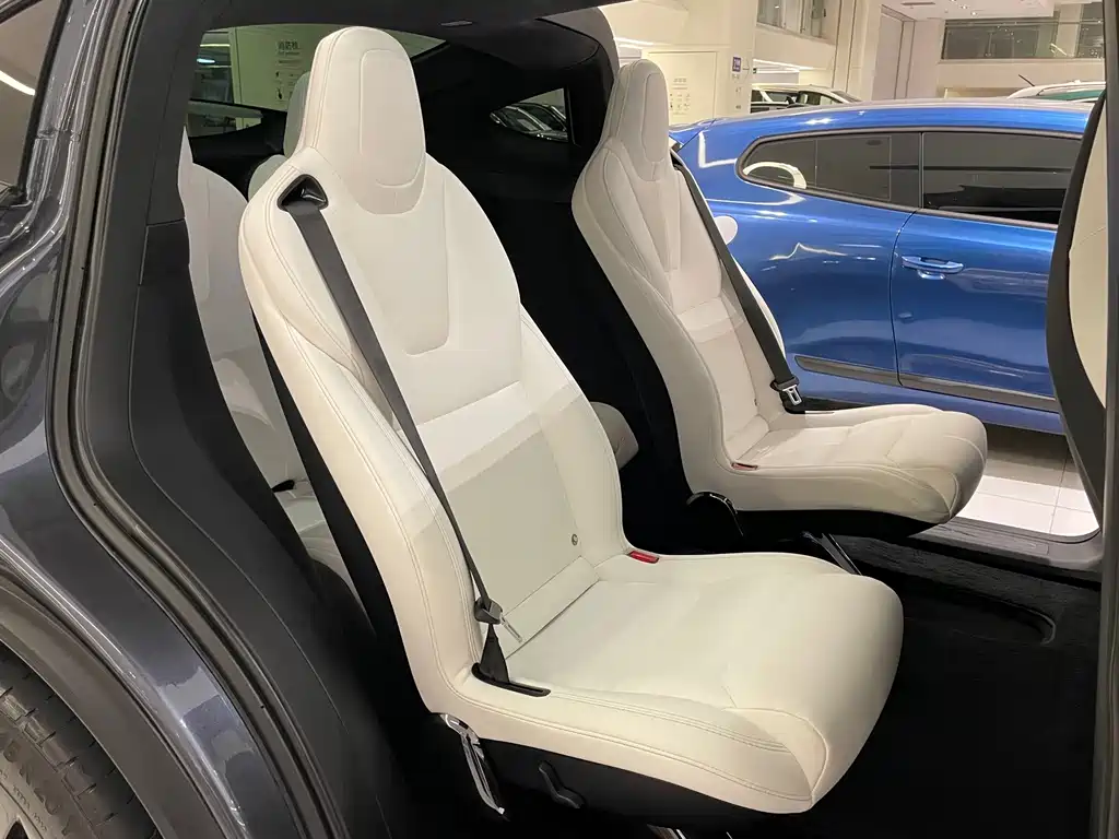 Tesla Model X — миниатюра 11