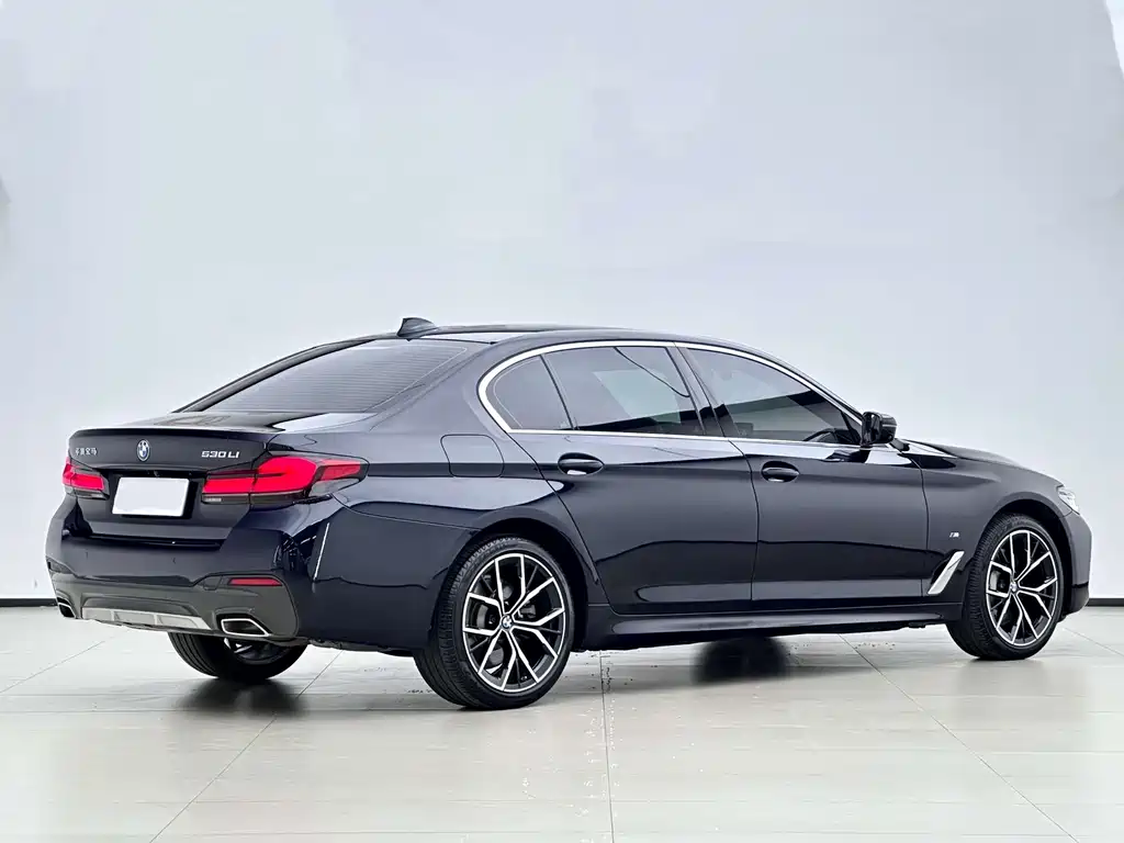 BMW 5 Series — миниатюра 2