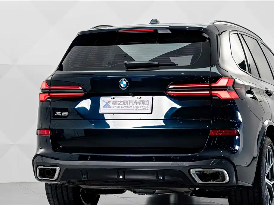 BMW X5 — миниатюра 7