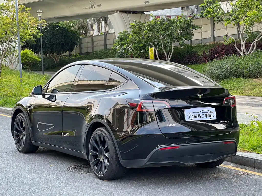 Tesla Model Y — миниатюра 5