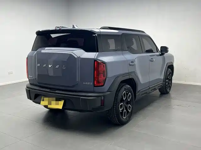 Haval Cool Dog — миниатюра 6