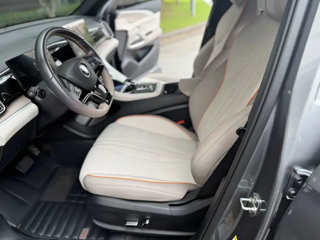 BYD Pro New Energy — миниатюра 4