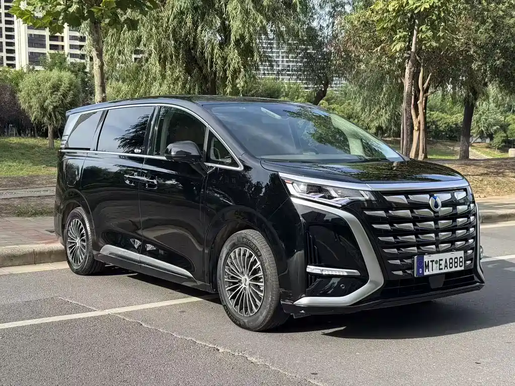 Denza Denza D9 — миниатюра 3