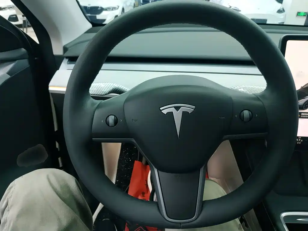Tesla Model Y — миниатюра 11