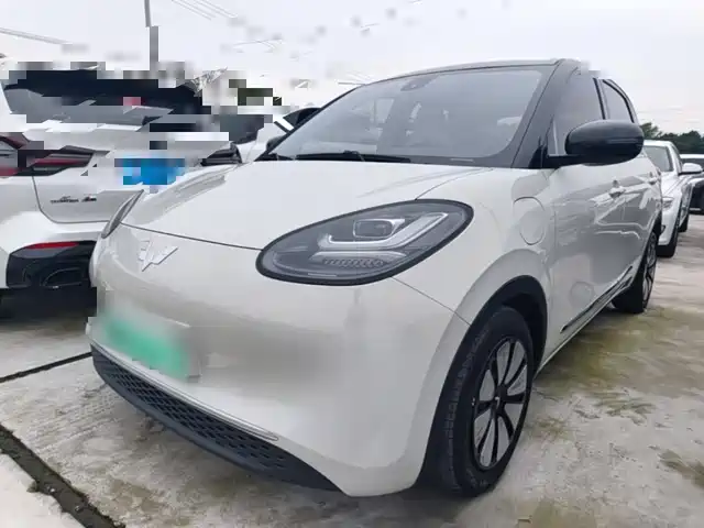 2023 Wuling Motors Binguo