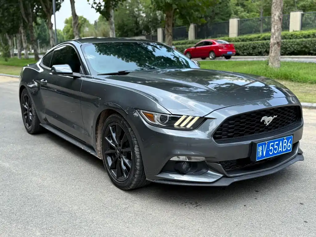 Ford Mustang — миниатюра 3