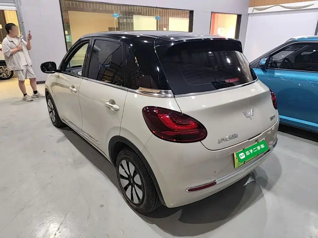 Wuling Binguo 2023 333km Enjoy +