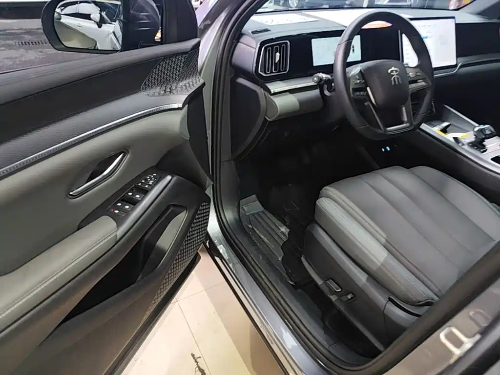 BYD Pro New Energy — миниатюра 16