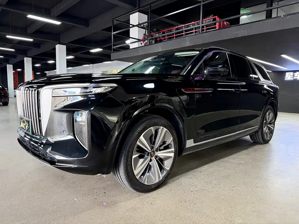 Hongqi Hongqi E-HS9