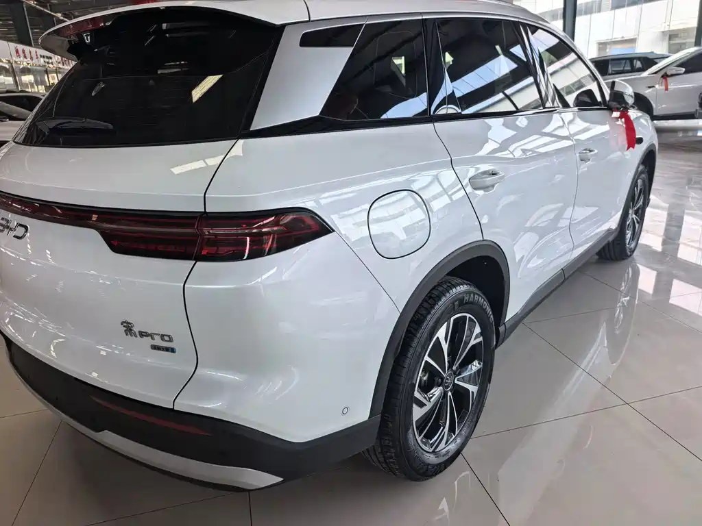 BYD Pro New Energy — миниатюра 5