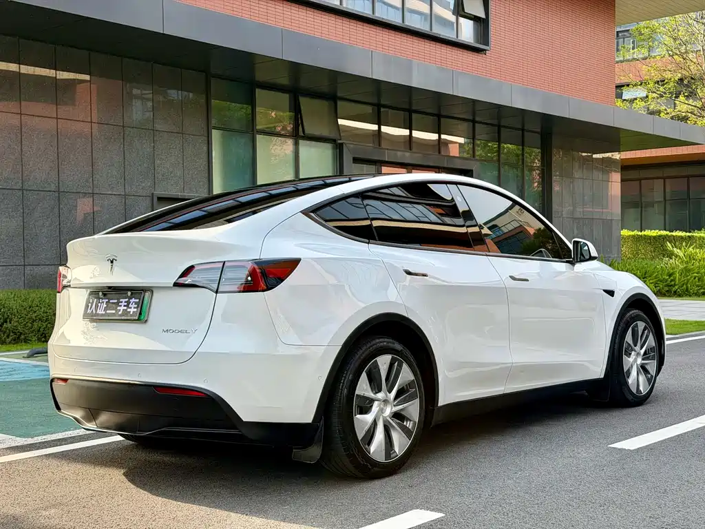 Tesla Model Y — миниатюра 6