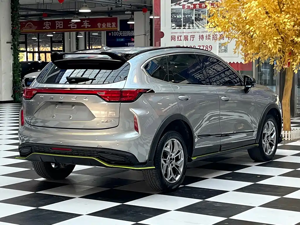 Haval Chitu — миниатюра 6