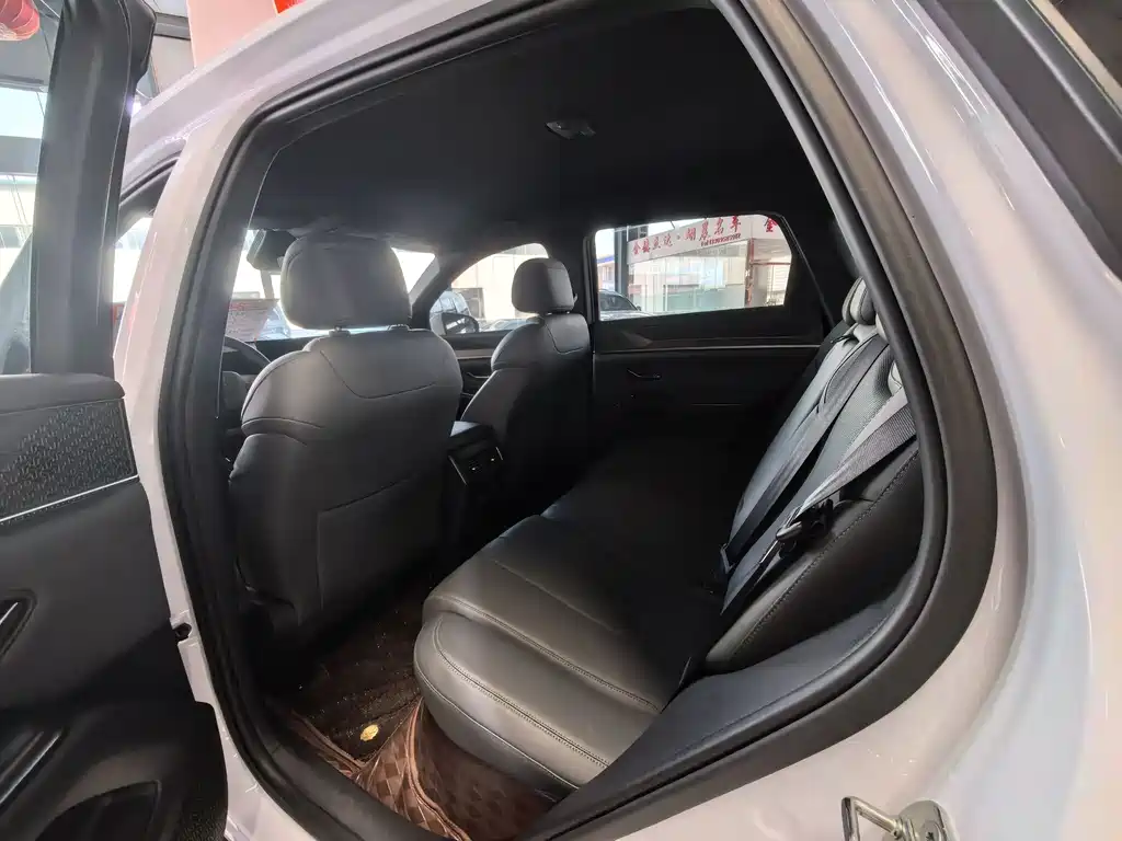 BYD Pro New Energy — миниатюра 8