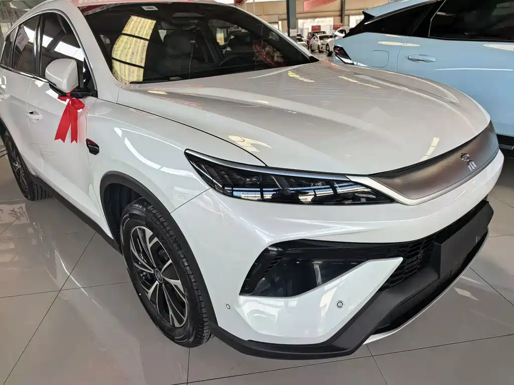 BYD Pro New Energy — миниатюра 3