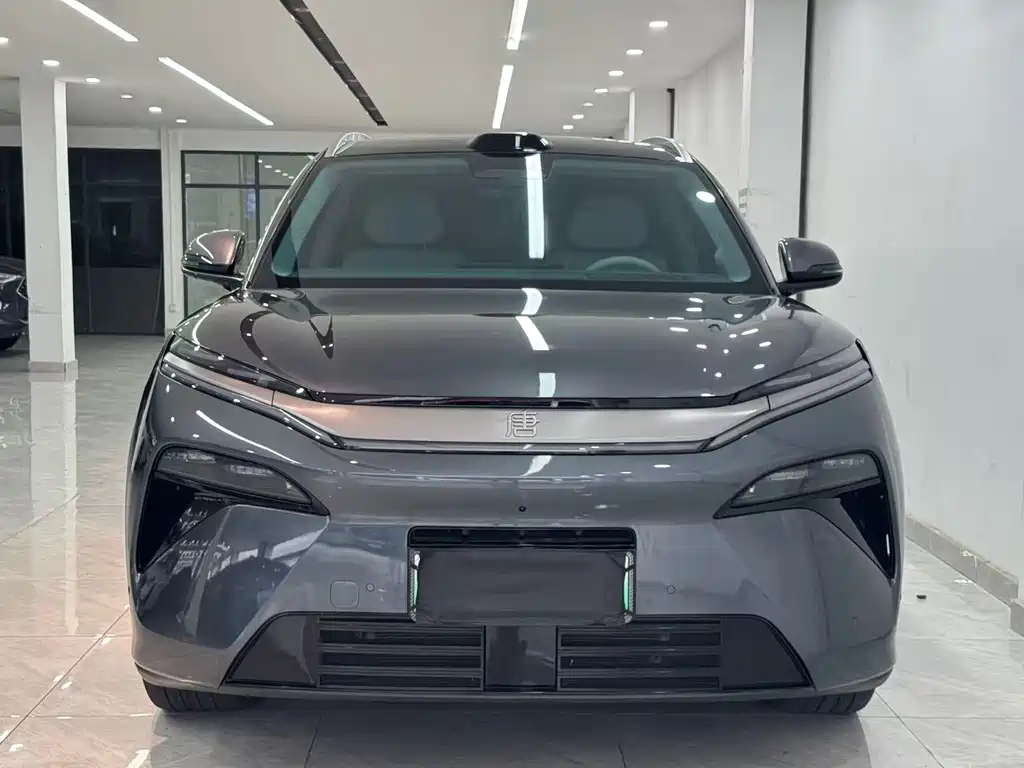 BYD Tang L — миниатюра 2