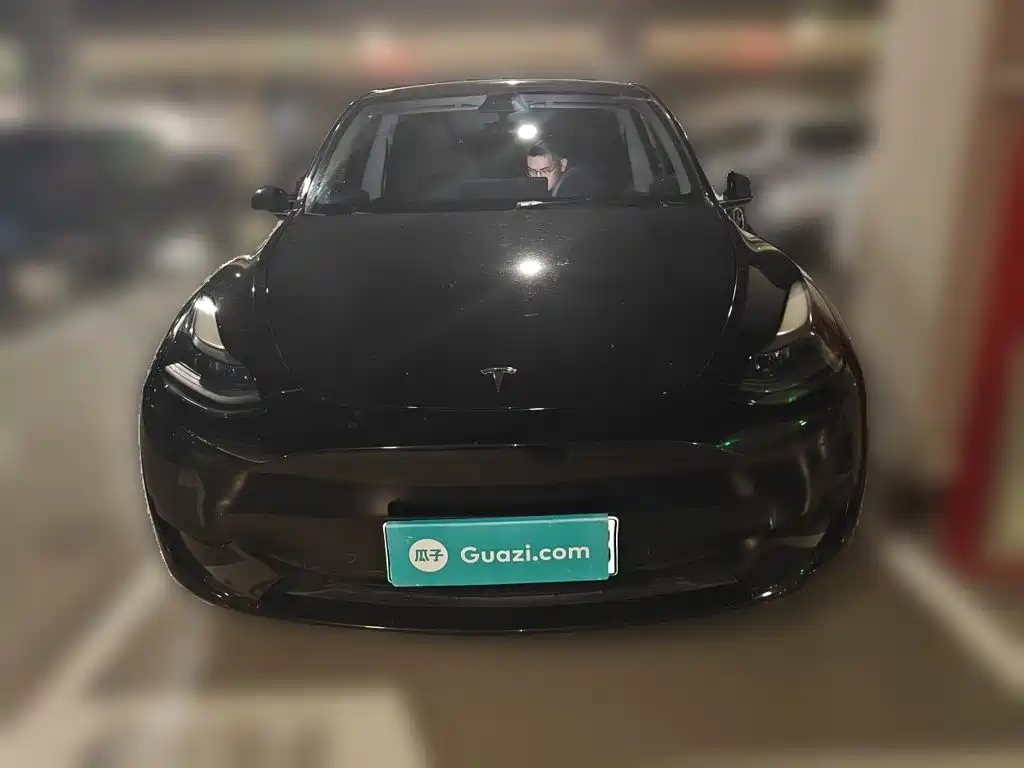 Tesla Model Y — миниатюра 2