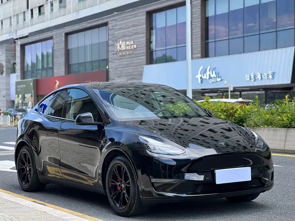 Tesla Model Y — миниатюра 3