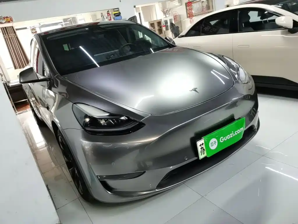 Tesla Model Y — миниатюра 4
