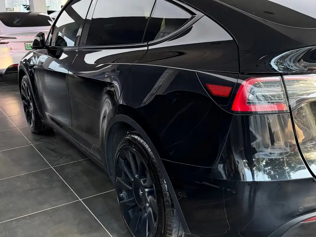 Tesla Model Y — миниатюра 4