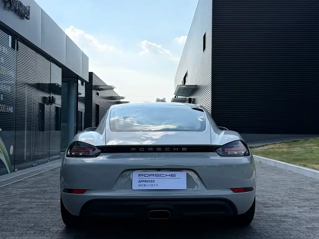 Porsche 718 — миниатюра 6