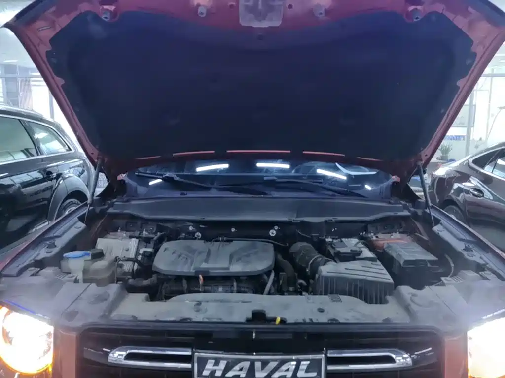 Haval Big Dog — миниатюра 20