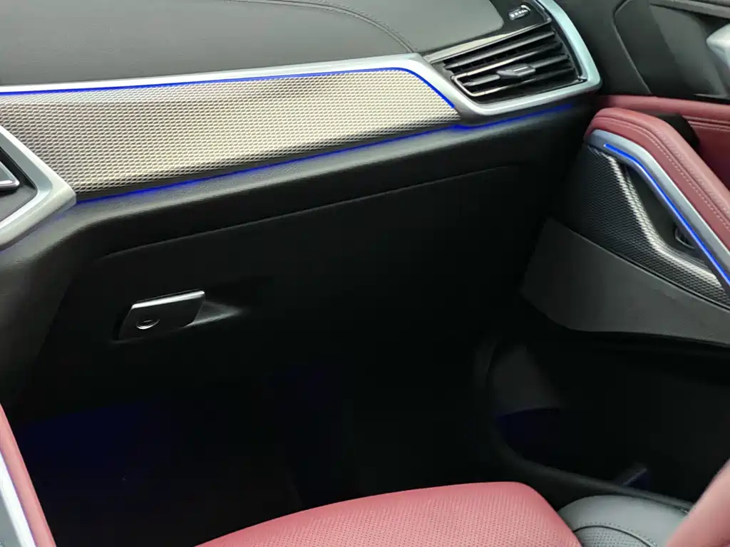 BMW X6 — миниатюра 24