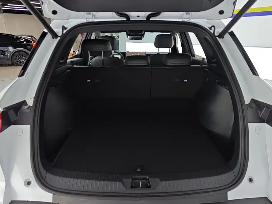 BYD Pro New Energy — миниатюра 4