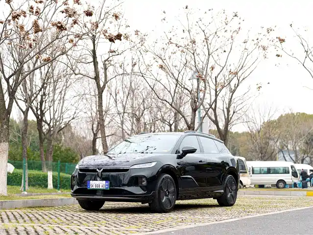 VOYAH LAN TU ZHIYIN 2024