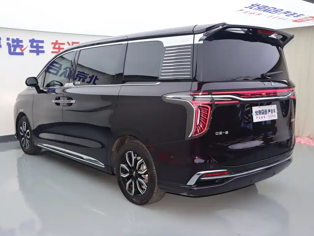Hongqi Hongqi HQ9 — миниатюра 27