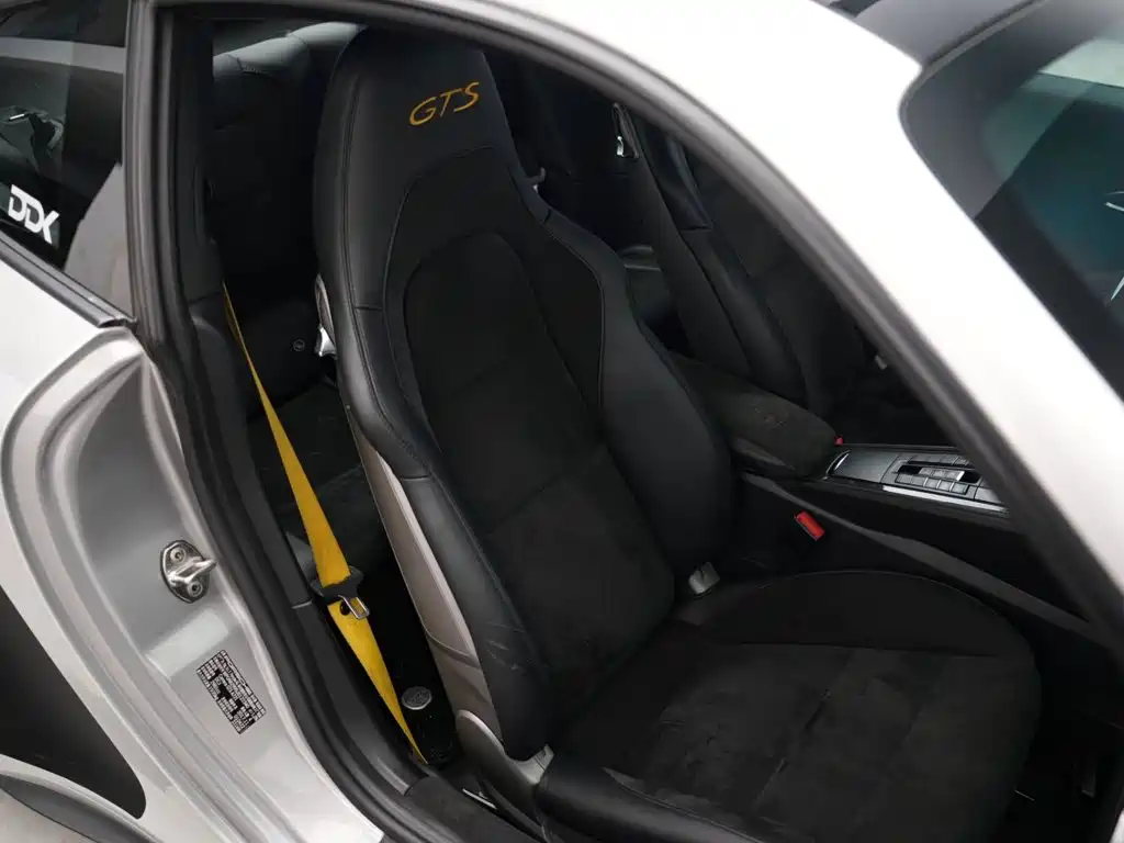 Porsche 911 — миниатюра 15