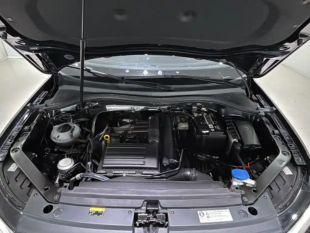 Volkswagen Tiguan L 280TSI Auto 2WD Trend Create Limited Edition, фото 19