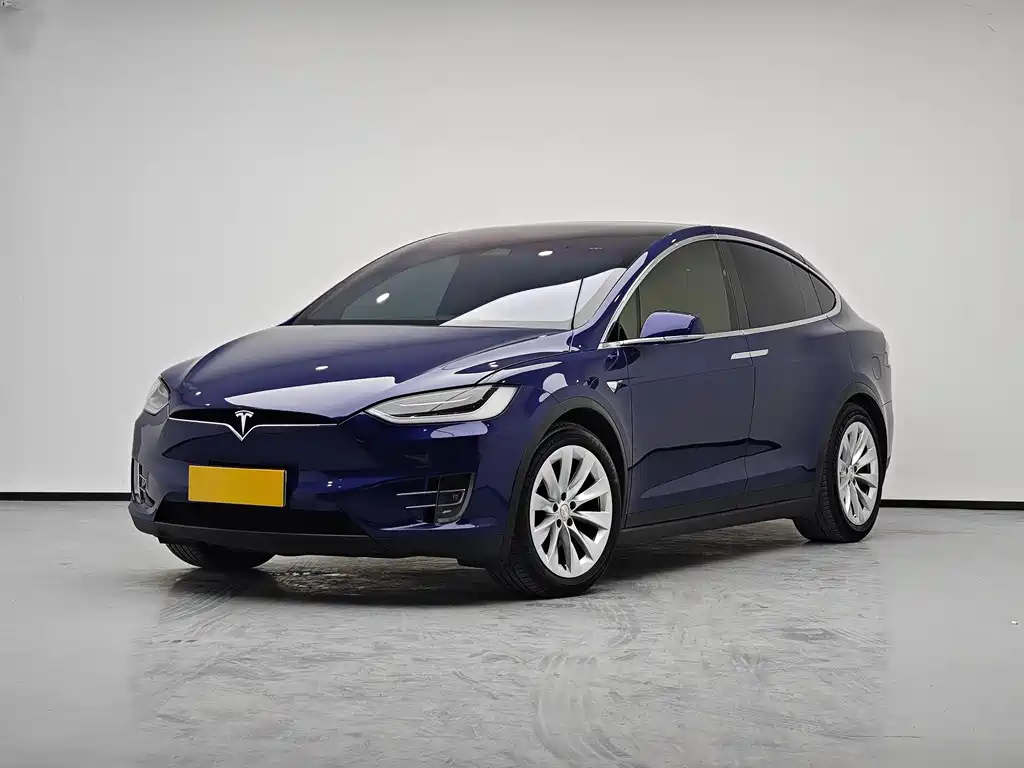 Tesla Model X 2019