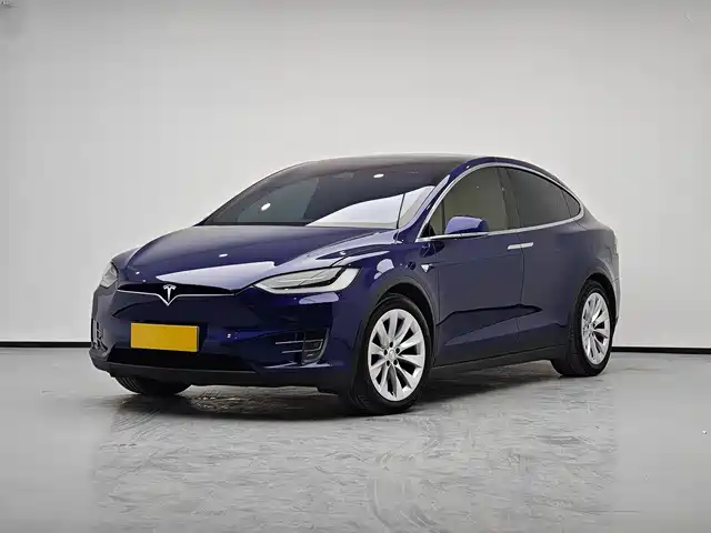 TESLA MODEL X 2019