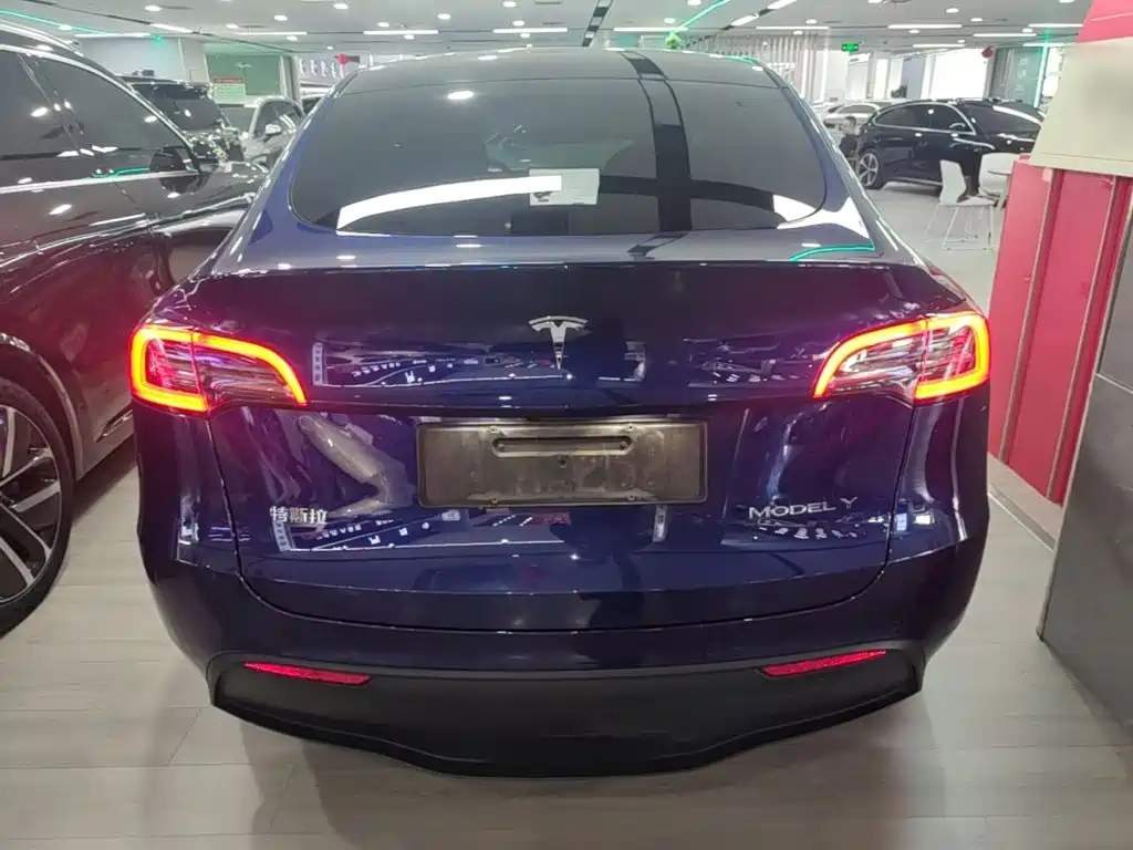 Tesla Model Y — миниатюра 6