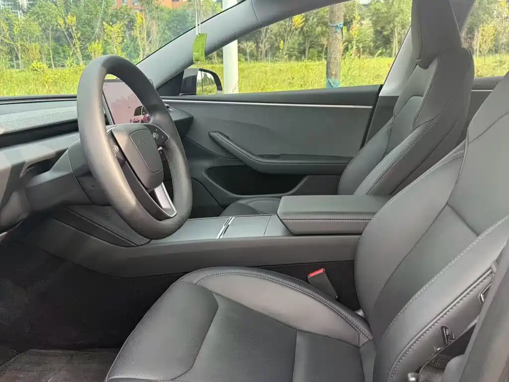 Tesla Model 3 — миниатюра 29