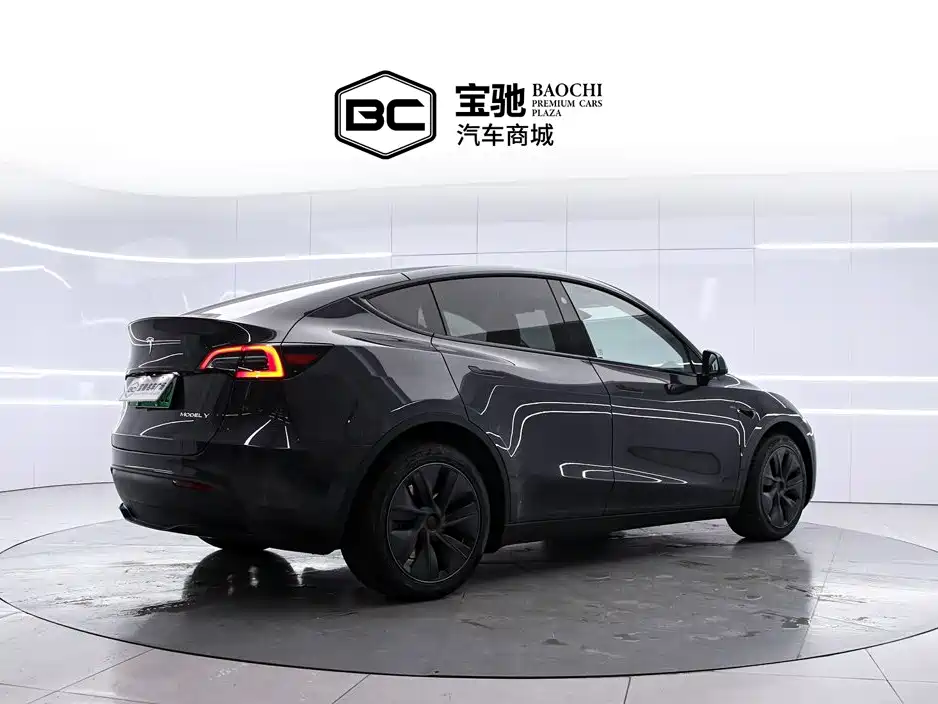Tesla Model Y — миниатюра 3
