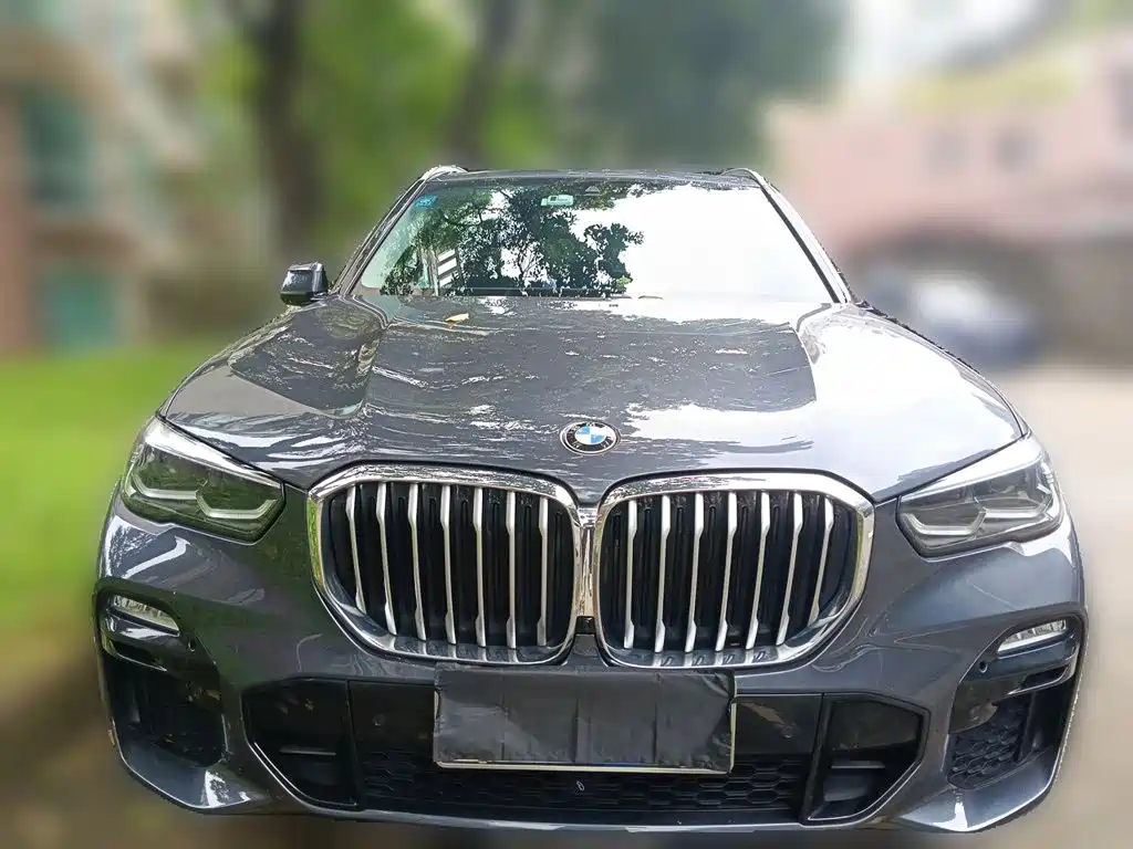 BMW X5 (Import) — миниатюра 2