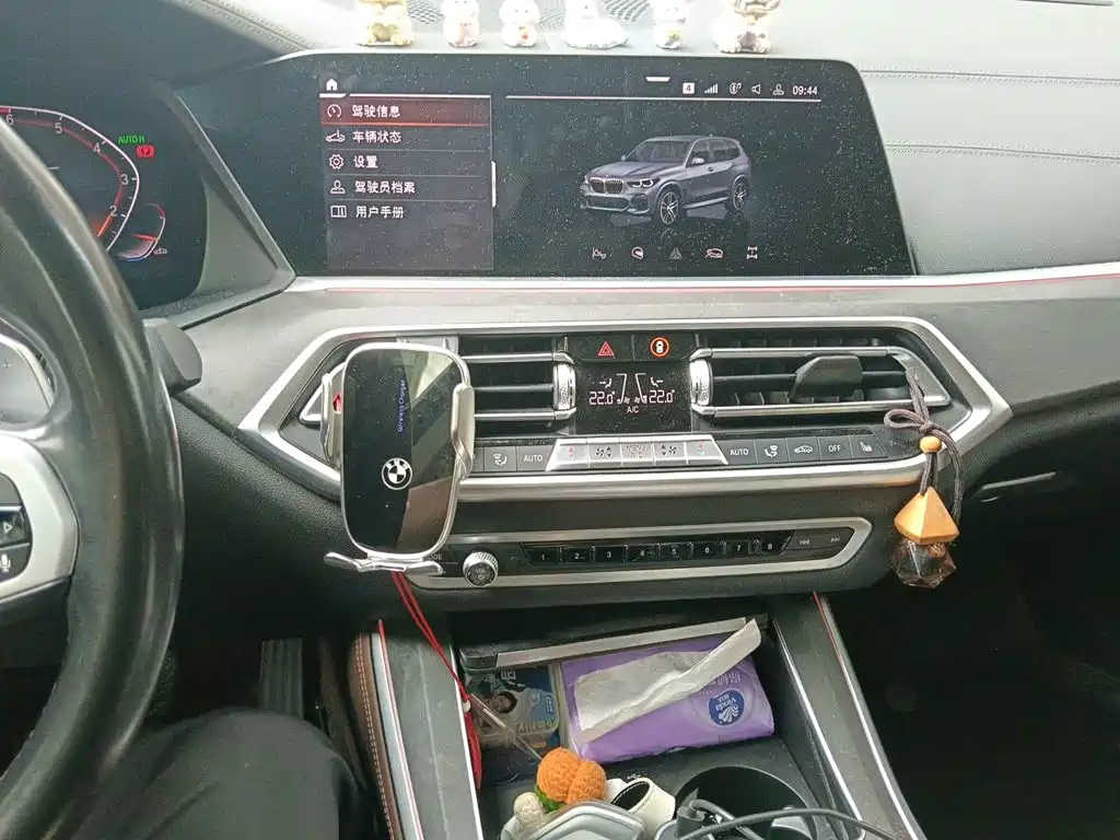 BMW X5 (Import) — миниатюра 9